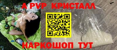 гашик Гусев