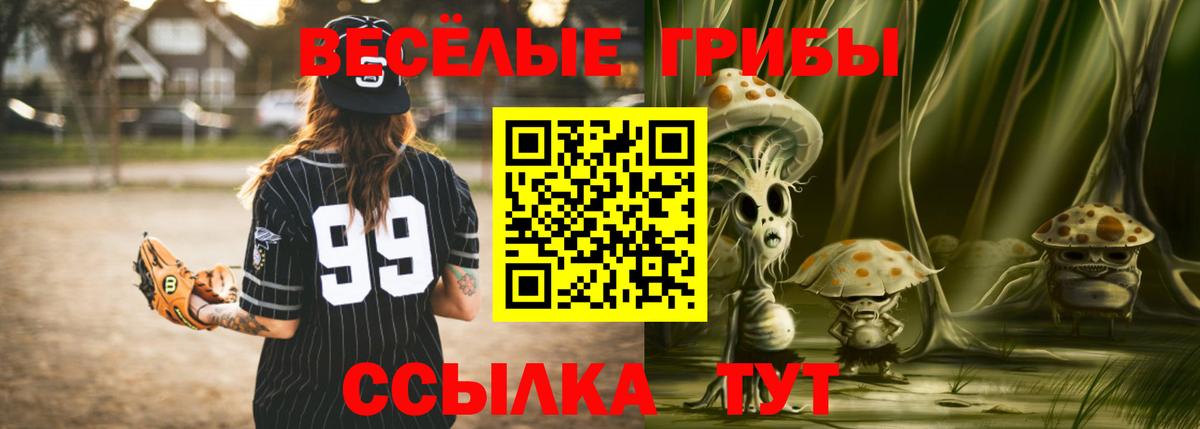 Галлюциногенные грибы мухоморы  Вход с VPN  Уссурийск 