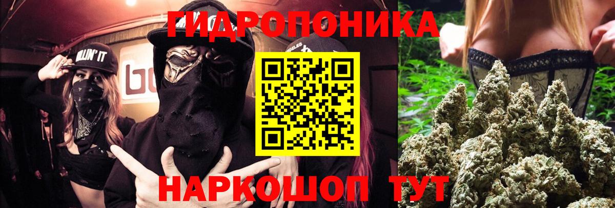 Конопля White Widow  Марихуана Bruce Banner  Каннабис марихуана  Бошки марихуана OG Kush  Вход с VPN  Уссурийск 
